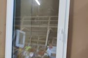 Window