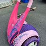 Dareway Segway Image 4