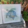 Set of 2 Framed Sea Turtle Wall Art Prints: Coastal/Ocean Decor Image 2