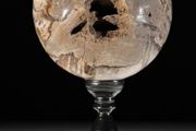 Polished Petrified Wood Geode Sphere (Diameter 10.2cm) - Wood, Woden Stand