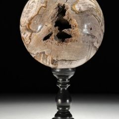 Polished Petrified Wood Geode Sphere (Diameter 10.2cm) - Wood, Woden Stand