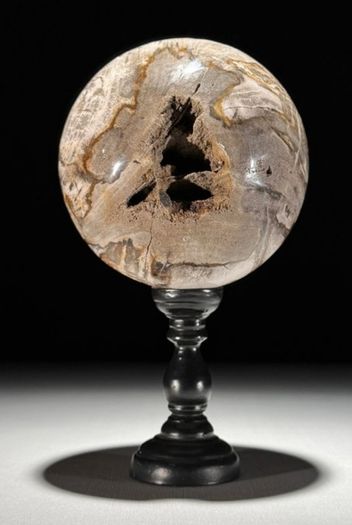 Polished Petrified Wood Geode Sphere (Diameter 10.2cm) - Wood, Woden Stand