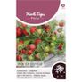 (S) HT Alpine Strawberry seeds Baron von Solemacher 100s (917007) Image 2
