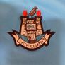 Dublin Jersey Image 2