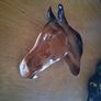 porcelain wall hanger horse head Image 3