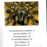 Deadly Spiders Of Australia Image 3