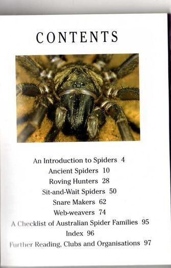 Deadly Spiders Of Australia