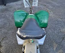 fairway rider golf buggy
