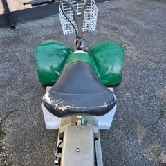 fairway rider golf buggy