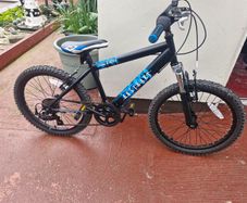 Boys Raleigh Bike