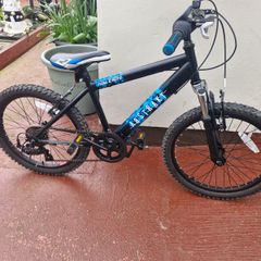 Boys Raleigh Bike