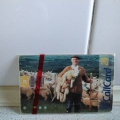 Callcard Mint