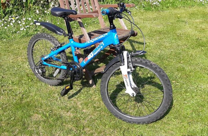 Ridgeback MX20