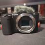 Sony ZV-E10  With selp1650 and wind buff Image 6