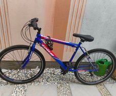 20" mountain bike