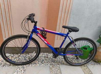 20" mountain bike