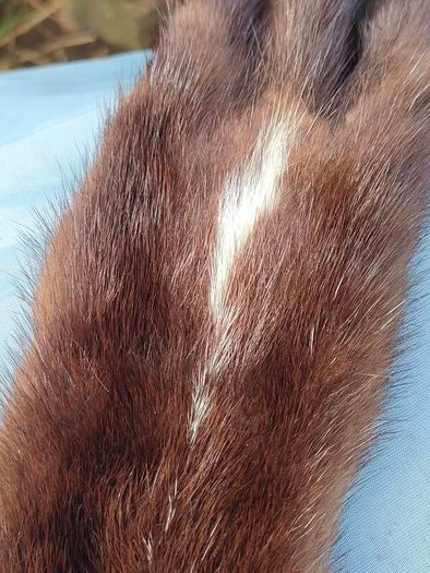 Barnardo's double pelt mink stole