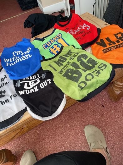 Puppy Vests