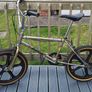 Raleigh Burner Image 2