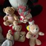 Selection of soft toys, 12 in total Image 7