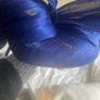 Headpiece Image 5