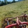 Hay ,square bale first cut Image 2