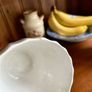 Vintage Myott Melody Fine Ironstone Set of Four Teacups Image 9