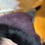 LK Benett Sheepskin Coat Image 8