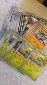 Scarlet Violet Bulk Cards - Pokemon Cards