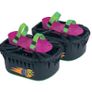 Moon Shoes Image 4