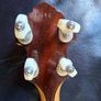 Clifford Essex Plectrum Banjo Image 5