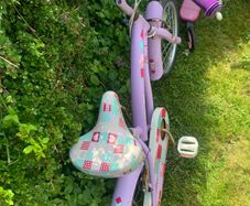 Free Bike
