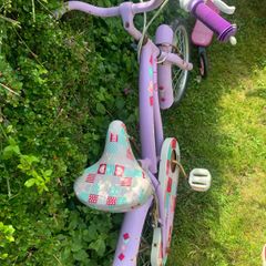 Free Bike