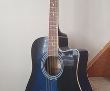 Richwood Electric Acoustic