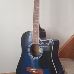 Richwood Electric Acoustic