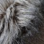 Grey faux fur collar Image 2