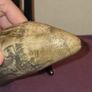 Scrimshaw Art Image 10