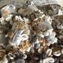 Huge bundle of finger knitting loop yarn wool 52 balls Image 5