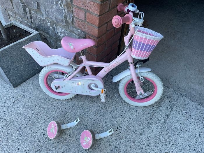 kids frozen bike