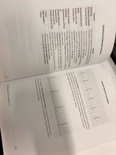 Ambulance Education Essentials