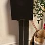 Bower & Wilkins 606 S2 speakers x2 black with STAV24 stands Image 2