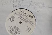 1984 Vinyl/ signed / Pat Kilbride/Devil- may-care dreamer