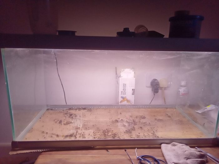fish tank