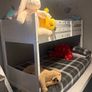 harvey norman bunk bed Image 5