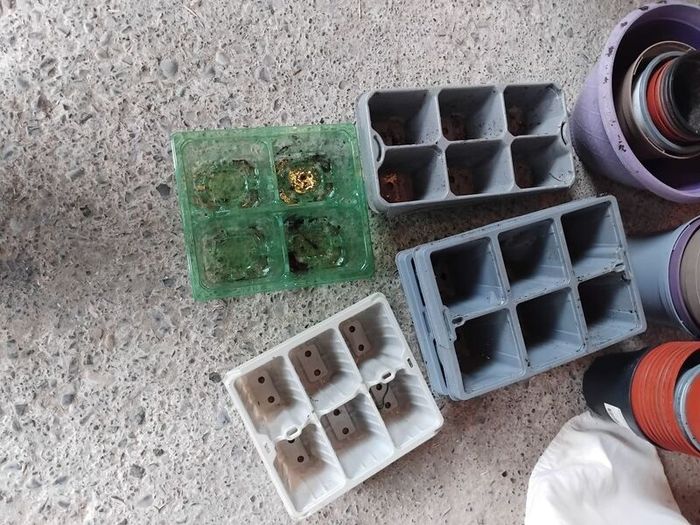 Plant Pots