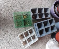 Plant Pots