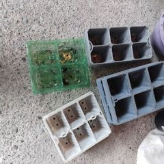 Plant Pots