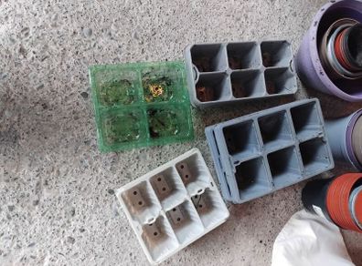 Plant Pots
