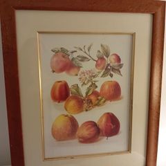 Picture from Laura Ashley