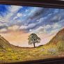 Sycamore Gap Tree Image 4